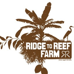 Nate Olive is the director of the Ridge to Reef Farm. The regenerative R2R community has established a food farm for peace on a sliver of paradise in the USVI.