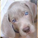 Barbara Bednarz - @BarbaraBednarz - Twitter