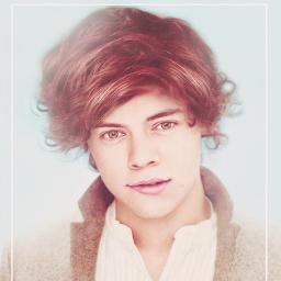 AnnaStyles22's profile picture. @NiallOffical @zaynmalik @Harry_Styles @Real_Liam_Payne @Louis_Tomlinson @justinbieber follow me please!! I love you boys :)