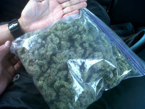 Jst doin it#teamleo#crazystoner#kushnation