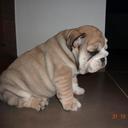 André Horn - @decohorn - Twitter