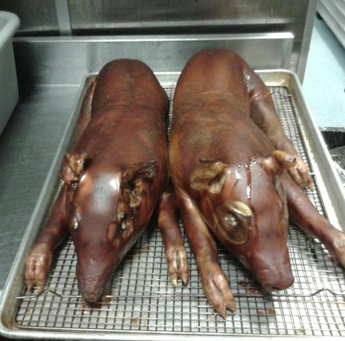Father, husband, barman, lover of pigs. I like the F word...alot.  Thoughts are my own, except when they're not.