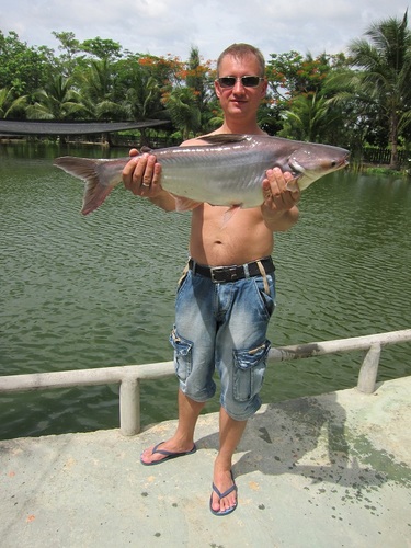 Specializing in international marketing, hobby - sportbike, paraglide, fishing.