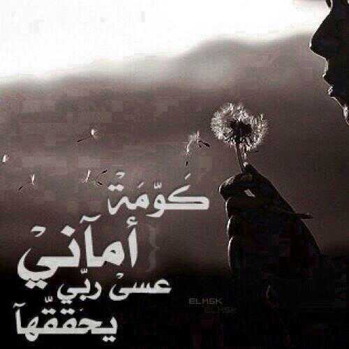 ‏وما توفيقي إلا بالله