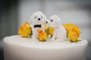 The adventures of a young married couple and their Bichon Frises. http://t.co/Mwc1PXMJpc