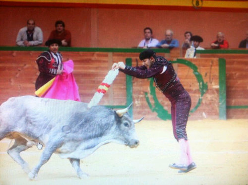 Banderillero