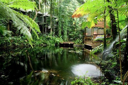 Wake to the gentle sounds of nature in your Daintree rainforest accommodation. Enjoy total pampering in the unique Daintree Spa.