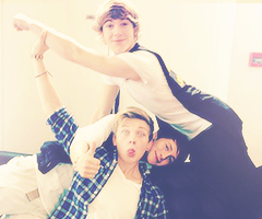 Here to update you on the latest news about District3 :D Follow us on our personals: @DanFLArmy @heylukebrooks_ @helendorset1