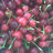ghinrichsen's profile image