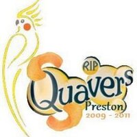 David Preston (@crazy_davidp) 's Twitter Profile