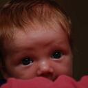 sandy pickard - @1golden1 - Twitter