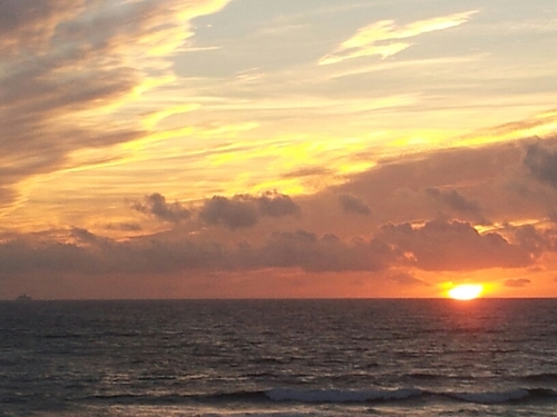 PACACOSTA's profile picture. 