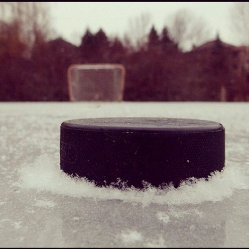 SaucingBiscuits's profile picture. 