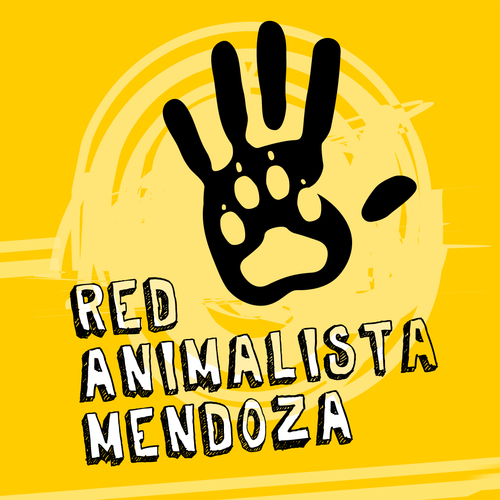 redanimalista's profile picture. Luchamos por la abolición de la esclavitud animal. Veganismo es la base de respeto y justicia que les debemos.