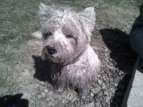 djredm's profile picture. 