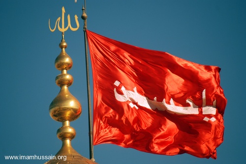 alimana10's profile picture. 