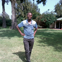 Solmwa's profile picture. Communication Specialist