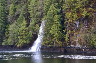 bellevuebandit's profile picture. 