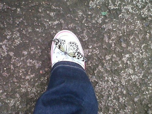 mol_who_writes's profile picture. Love writing, reading, drinking tea & hope to be published one day. Happy to talk and listen. Follow if you like, but don't expect too much witty banter!