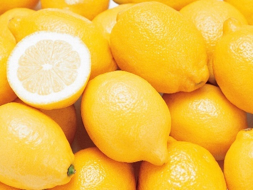 sugar61004's profile picture. 昆虫撮影を中心に各地で撮影しています。メインはトンボ撮影。Instagram https://t.co/Y4sP2JAakd