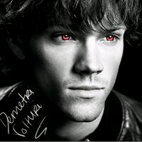 Demetri volturi (@tracker_demetri) 's Twitter Profile