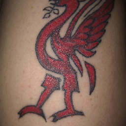 RogerHast's profile picture. YNWA