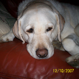 PhillipOtto's profile picture. Retired progressive; Hemingway hunter/ Love Buenos Aires/Rome/ mediation/ arbitration/  predictive models/ life coach/disruptive innovation.