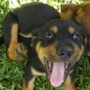 Sidney Thomas - @SidneyThomas_18 - Twitter