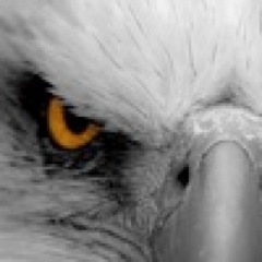Father of MSGT, AirForce - Bar Stool BS Stops Here, Benghazi - To Our Freedom Fighters on Twitter, Thank You.