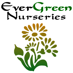 In 1999, we celebrated 10 years of growing and selling an ever-increasing range of plants from our Plant Centre.