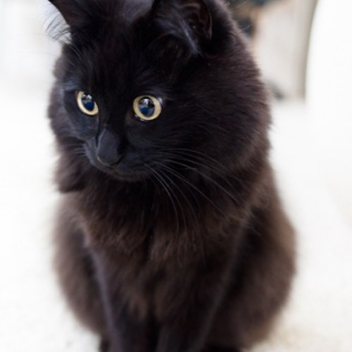 jgc5nycx2g's profile picture. 