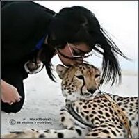 maram abdalla (@granablue) 's Twitter Profile
