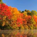 Essence Walker - @NerdsAreCute - Twitter