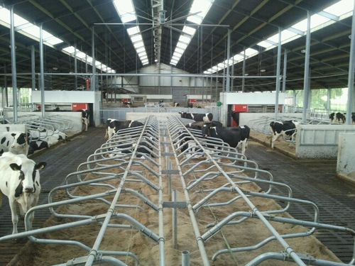 Melkveevgrins's profile picture. 