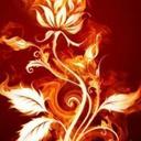 MANUEL SAM - @MANUELSAM3 - Twitter