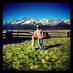 Joe Decker (@canyoncojoe) Twitter profile photo Joe Decker (@canyoncojoe) Twitter profile photo