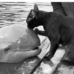 SeoWorksWithUS's profile picture. SEO Works With US - Guaranteed results -