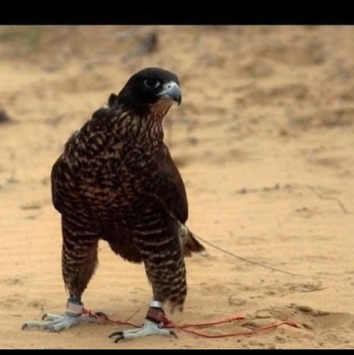 اللهم حسن خُلُقي كما حسنت خٓلقي 
http://t.co/tpWGlPE3SS