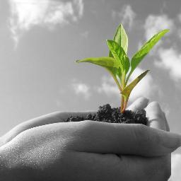 PosttraumaticGr's profile picture. Thank you for everyone who took part in this research study! Results will be available in October 2013 on here and on FB http://t.co/2jJLfHsv