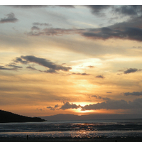 Anna Scott (@annaruthscott) 's Twitter Profile