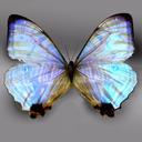 Ruth Payton - @RSLHR - Twitter