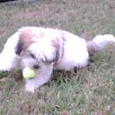 Joseph Kenner - @joesphone - Twitter