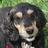 Profile Picture of Mollydog (@@stormingellie) on Twitter
