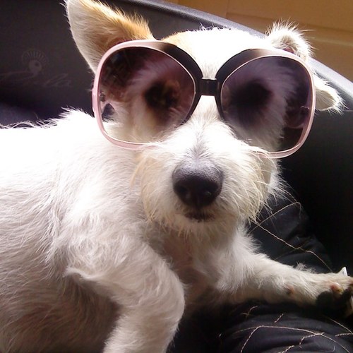 Amberrrr93's profile picture. 