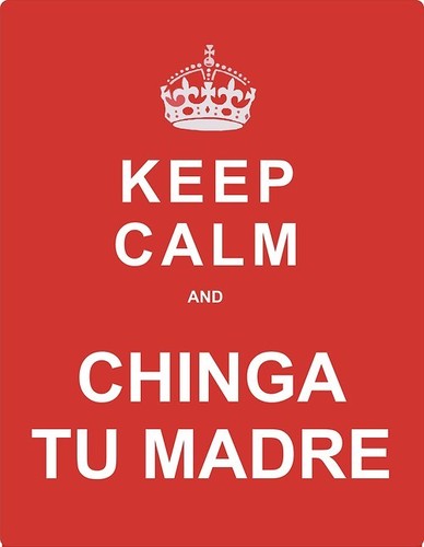 Amante de la buena vida, no tengo sillones en donde sentarme, soy más pobre y vivo en una cueva, pero OBVIO GOOOEY soy chichona, #Gamer.