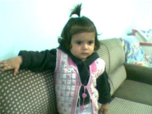 twiter