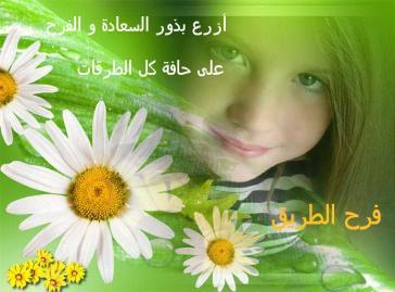 mazaya_ksa's profile picture. 