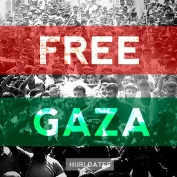 My heart beats Muslim, my blood flows Shia..