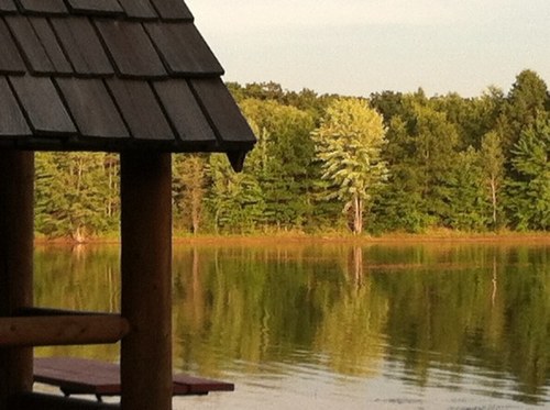 Mcnamar85386499's profile picture. 