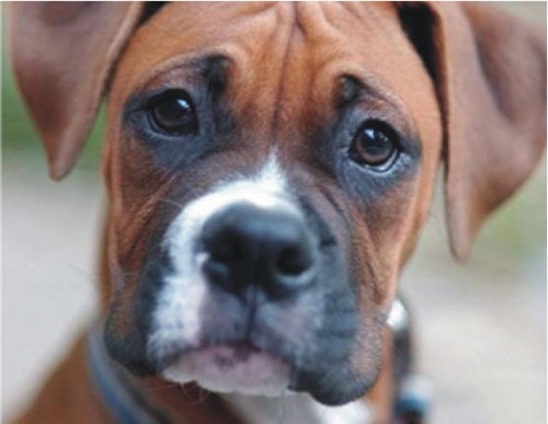 KayaZoya1D's profile picture. 